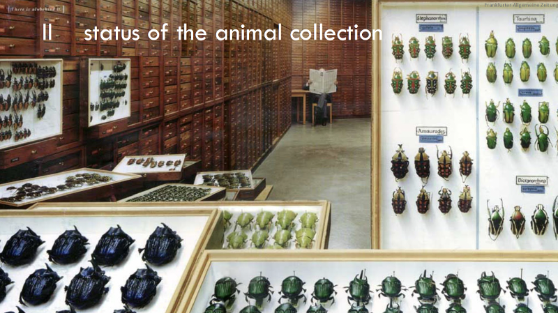 Screenshot 2026-01-11 at 11.28.38.png